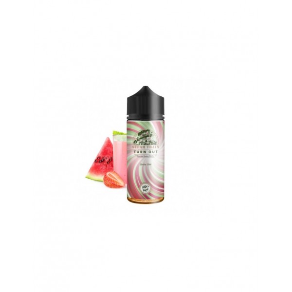 Steamtrain Flavour shot Turn Out 120ml
