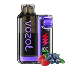 Vozol Vista Plug Blueberry Sour Raspberry 2ml Kit