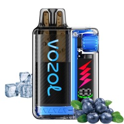 Vozol Vista Plug Blueberry Ice 2ml Kit