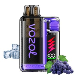 Vozol Vista Plug Grape Ice 2ml Kit