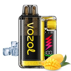 Vozol Vista Plug Mango Ice 2ml Kit